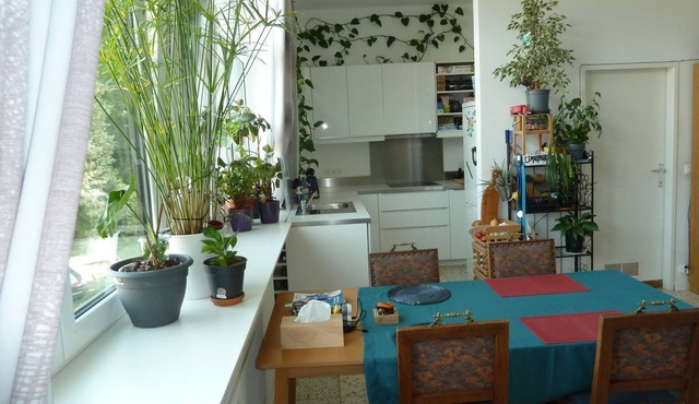 Spacious, bright and comfortable apartment - located in the forest in the valley
