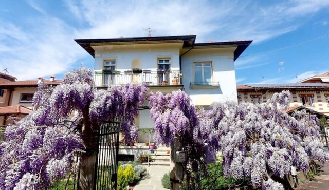 Spacious bright and quiet house with garden in Bra