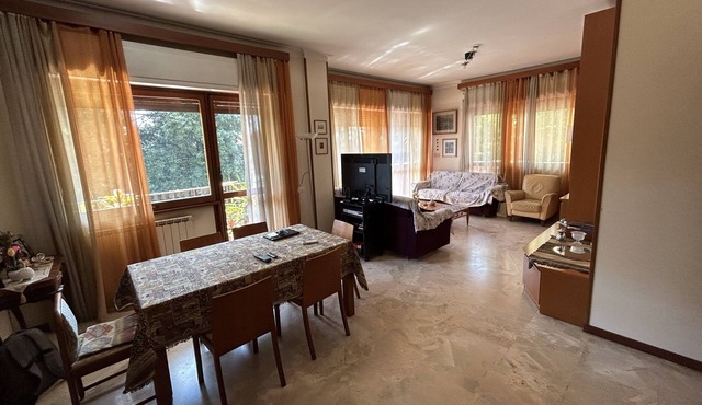 Spacious, bright and well-connected apartment