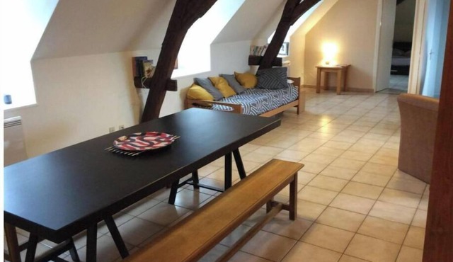 Spacious, bright apartment in the city center