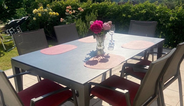 Spacious, bright apartment with a view of the vineyards and the Rhine plain