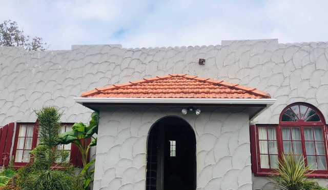 Spacious Castle Home