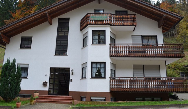 Spacious "Celin" vacation apartment in the heart of the Palatinate Forest