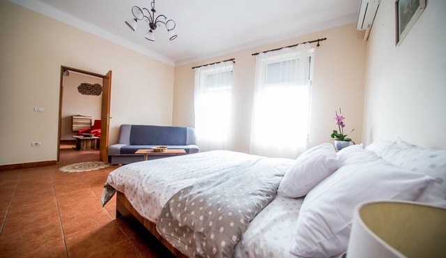 Spacious Central Apartament