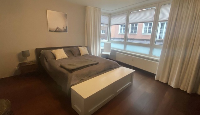 Spacious, central yet quiet luxury apartment