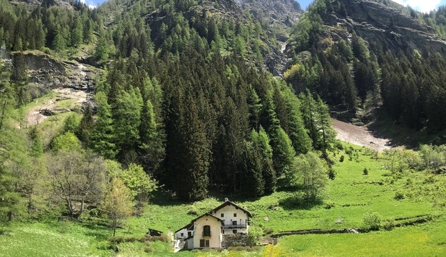 Spacious chalet in peaceful environment, 300m from village center, near slopes