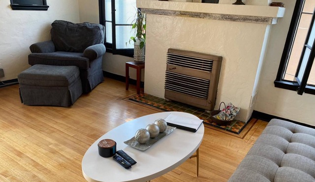 Spacious condo-style 1 Bedroom apartment
