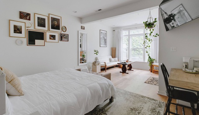 Spacious & Cozy Modern Art Suite - Centrally Located!