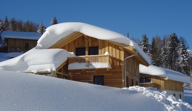 spacious detached holiday house with winter garden