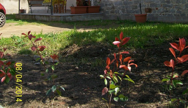 Spacious Detached House in BariSardo, a Short Distance from the Beaches.
