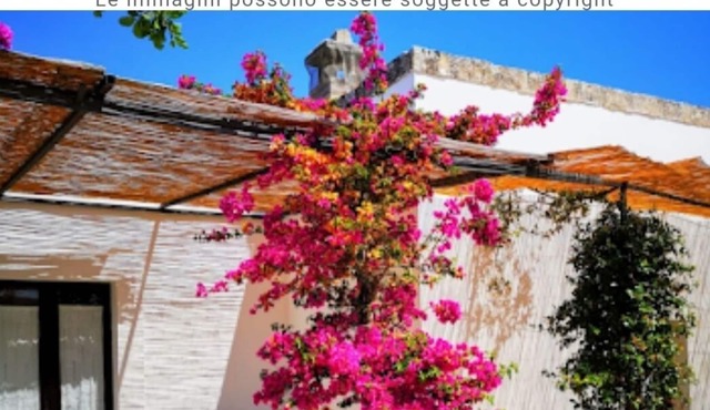 Spacious double room in ancient Masseria near the sea in a quiet olive trees.