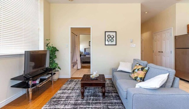 Spacious Downtown Loft with AC