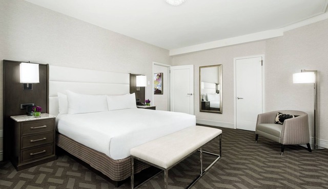 Spacious Downtown Room Close to Public Transports | Pets Are Allowed