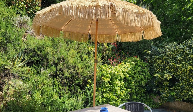 Spacious, fully equipped studio with a terrace, large pool, and shared kitchen