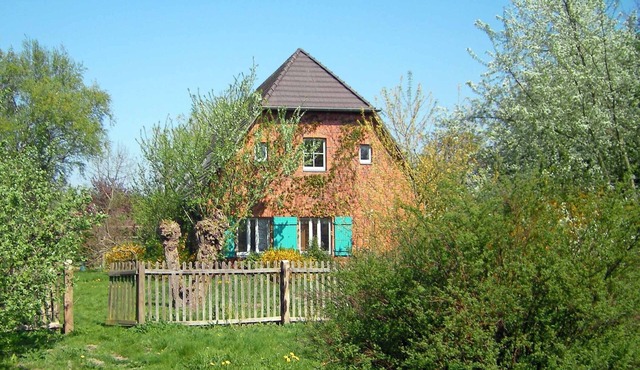 Spacious holiday home with a large garden and swimming pond