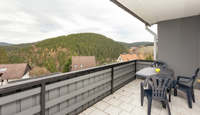 Spacious holiday home in Wildemann with garden
