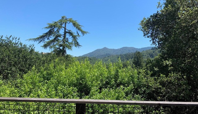 Spacious home with epic views in mountain bike and live music paradise