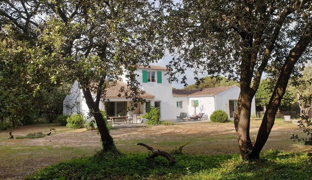 Spacious house on the wild coast, 100 m from the beach.