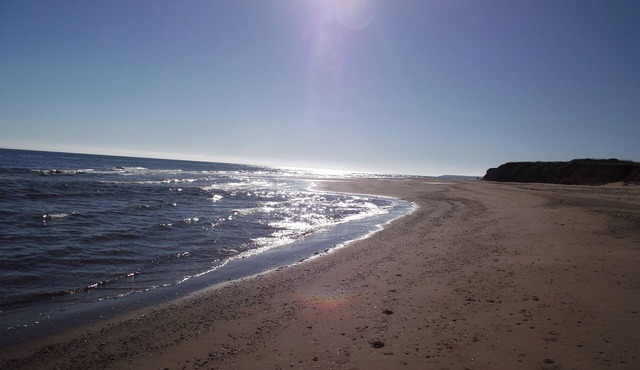 Spacious House, Private Setting, Panoramic Ocean View, Great Beach!