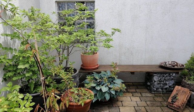 Spacious house with parking lot and green courtyard