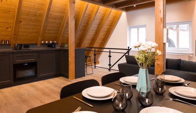Spacious, luxurious apartment right next to the city wall - ideal for families