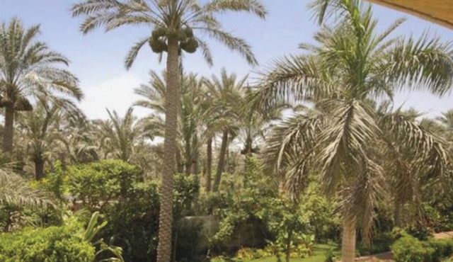 Spacious Luxurious Villa 1,200 meters away from Sakkara (Djoser) Step Pyramid