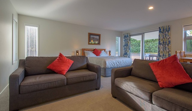 Spacious, Modern Studio Apartment below Coronet Peak