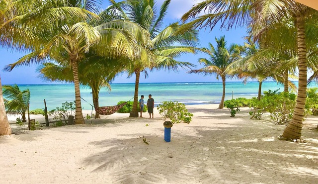 Spacious oceanfront home with palm trees, kayaks and spectacular views!