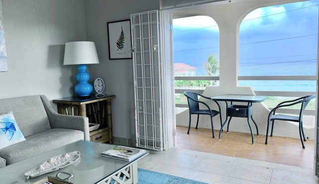 Spacious Oceanview One Bedroom Apartment