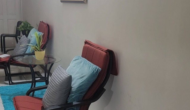 Spacious one bedroom apartment in Kingston