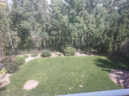 Spacious One Bedroom Walkout Basement Suite