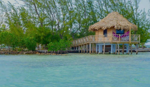 Spacious Overwater Bungalow w/Air Conditioning & Private Walk-In Shower