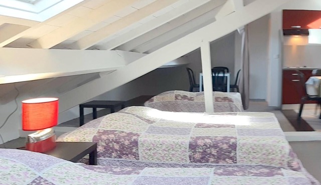 Spacious penthouse apartment