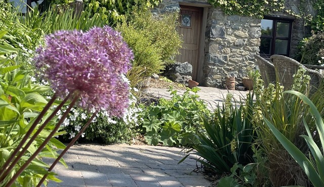 Spacious Private Gardens, Pet Friendly, Rural, Sleeps 8, 10 mins drive to beach