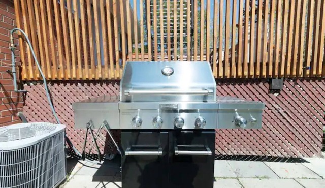SPACIOUS PRIVATE SUITE W/BACKYARD (YONGE & FINCH)