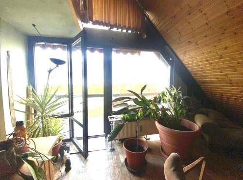 Spacious Residence for Exhibitors & Business Teams