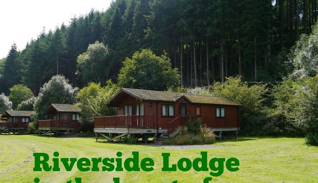 Spacious Riverside Lodge in a beautiful wooded Dartmoor valley **pet friendly**