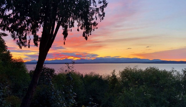 Spacious Romantic Salish Sea View Suite on Luxury Seattle Estate