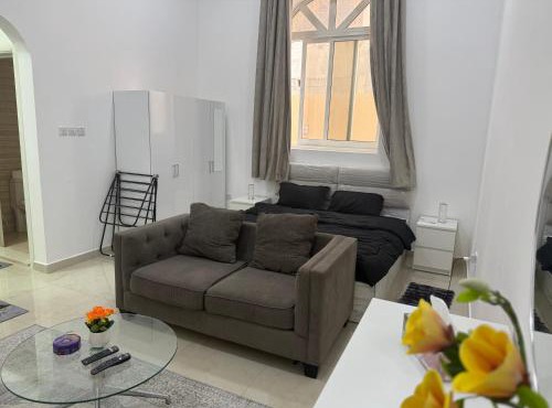 Spacious studio 30 min from yas island and airport