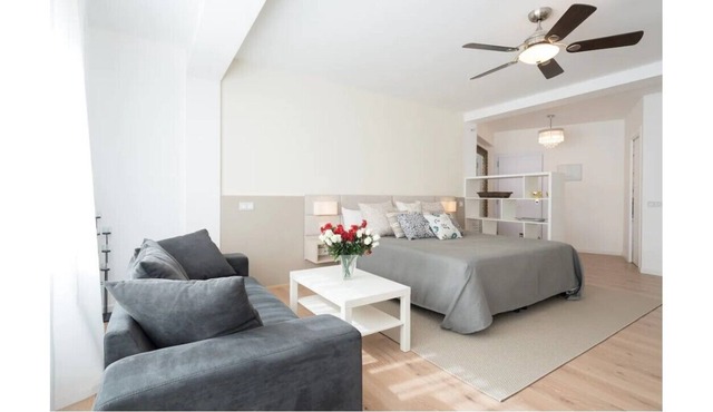 Spacious Studio in Soho