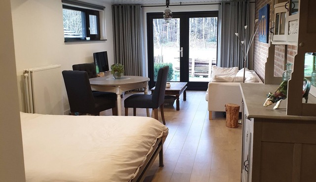 Spacious Studio, in wooded hiking/biking area. Near ASML.