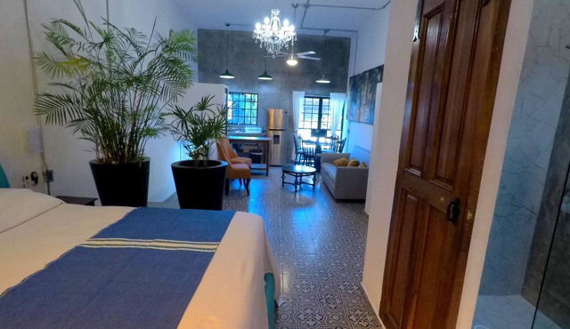 Spacious studio- Casa Tres Lunas # 2