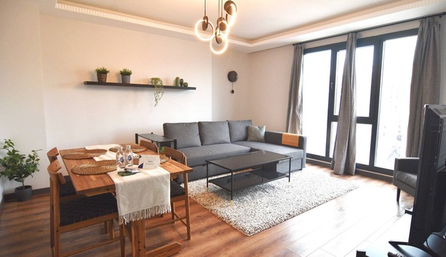 spacious stylish 2bedr apart with amazing view