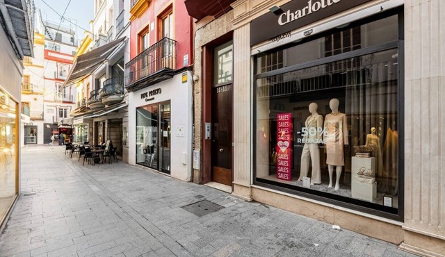 SPACIOUS & STYLISH - HEARTH OF HISTORICAL CENTRE