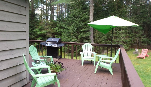 Spacious Three Bedroom, Two Bath Home. Animals Welcomed. In Lake Placid.