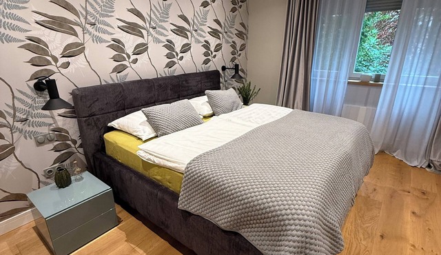 Spacious upscale apartment Up to 5 guests City center Free parking