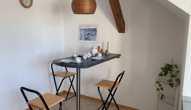 Spacious vacation apartment in a quiet and convenient location