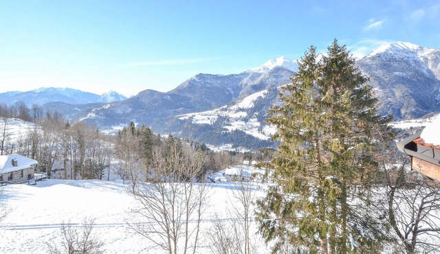 Spacious vacation apartment with mountain panorama in a quiet location.