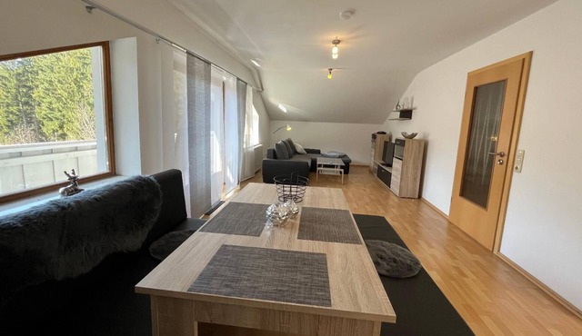 Spacious vacation apartment for 3 people with balcony