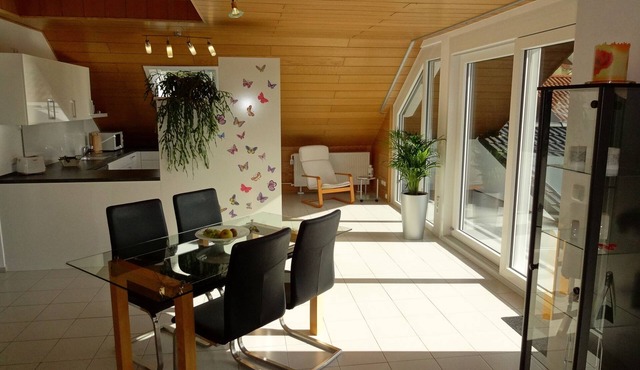Spacious vacation apartment "Main Sommerblick" - magnificent view over the Main valley